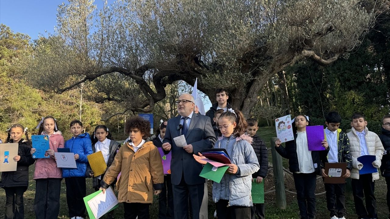 Sarıyer'de 1000 Yıllık Zeytin Ağacında Çocuk Hakları Şiir Buluşması