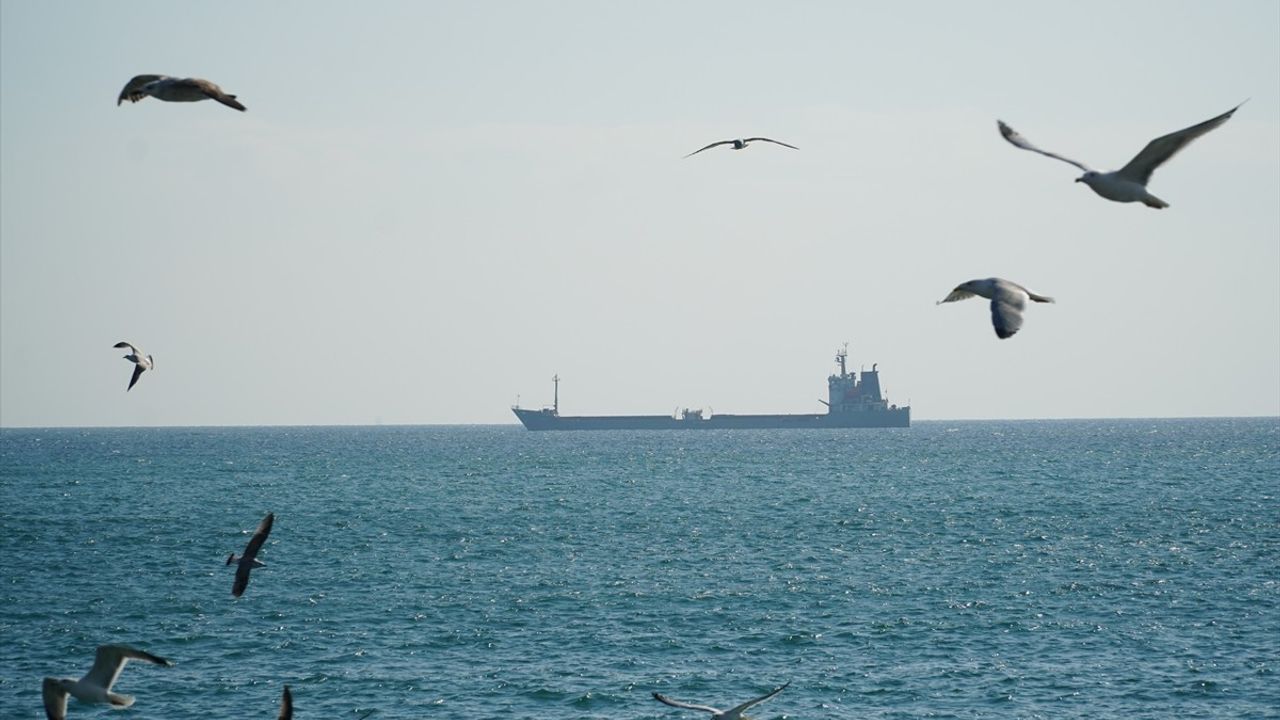 Tekirdağ'da Poyraz Kesilmiyor