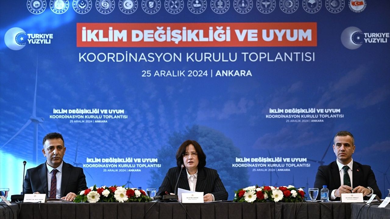 2024 İklim Değişikliği Toplantısı Önemli Adımlar İçin Bir Araya Geldi