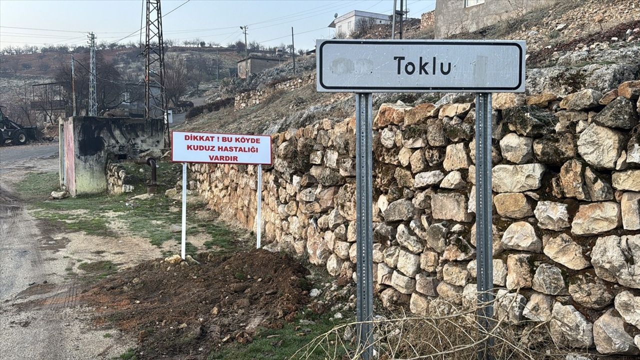 Adıyaman'da Kuduz Tehlikesi: Bir Köy Karantinaya Alındı