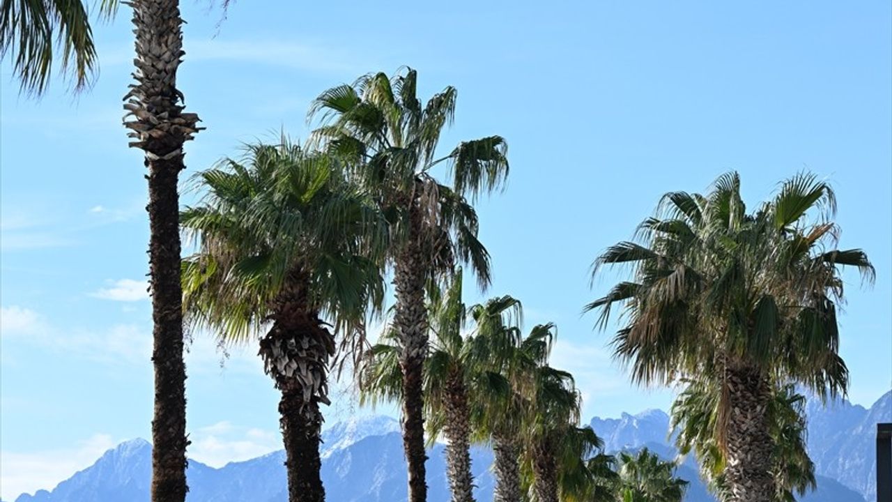 Antalya'da Güneşli Hava Sahilleri Canlandırdı