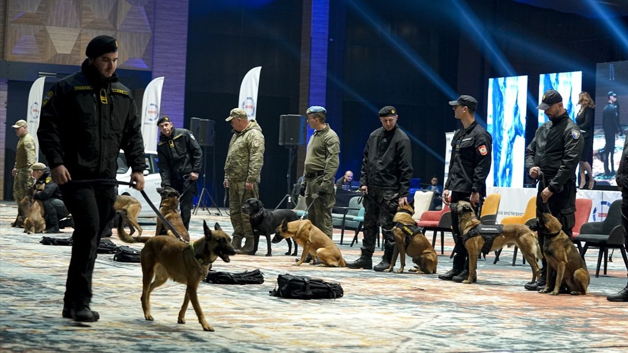 Bosna Hersek'te K9 Köpekleri Yarıştı