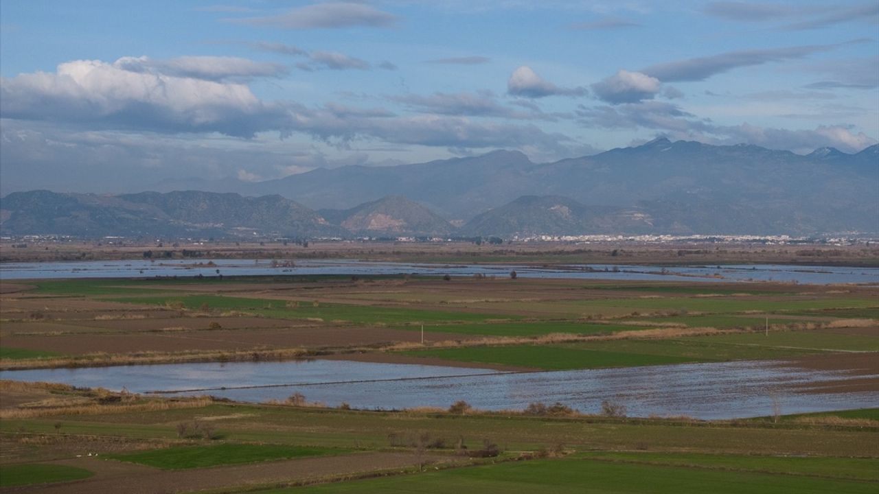 Büyük Menderes Nehri'nde Taşkınlar Etkili Oldu