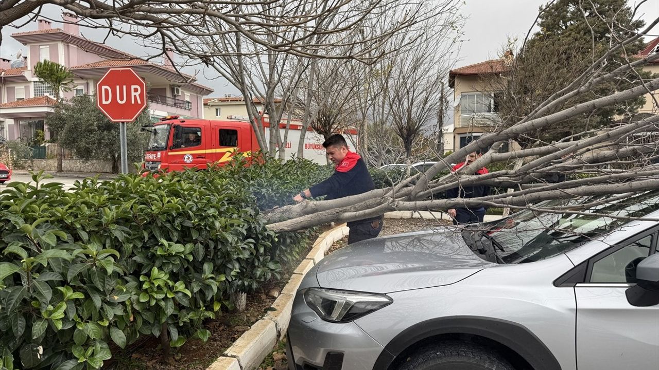 Denizli'de Fırtına Ağaçları Devrip Araçlara Zarar Verdi