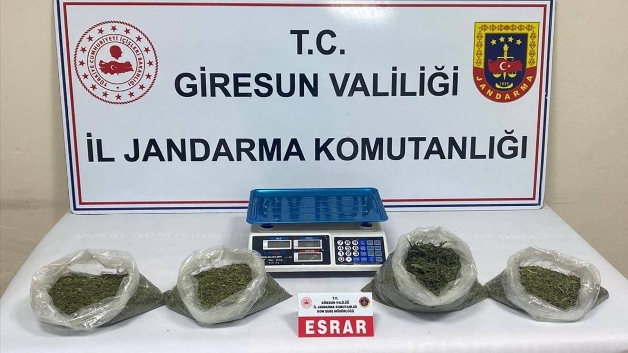 Giresun'da Uyuşturucu Operasyonu: 2 Zanlı Tutuklandı