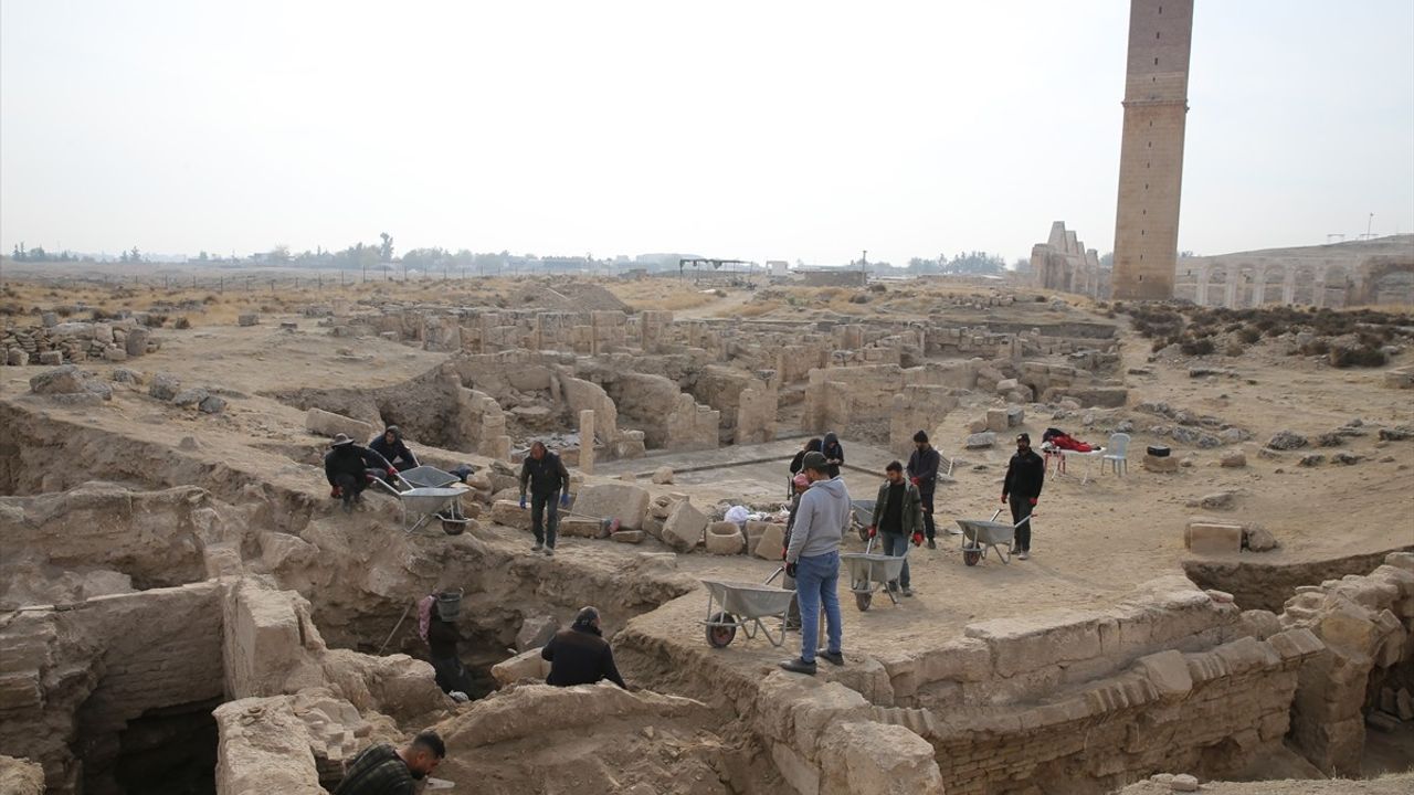 Harran'da 11. Yüzyıla Ait Medrese Derslikleri Keşfedildi