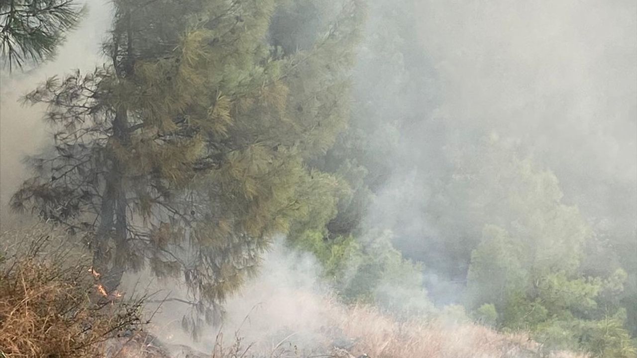 Hatay'da Orman Yangını Kontrol Altına Alındı