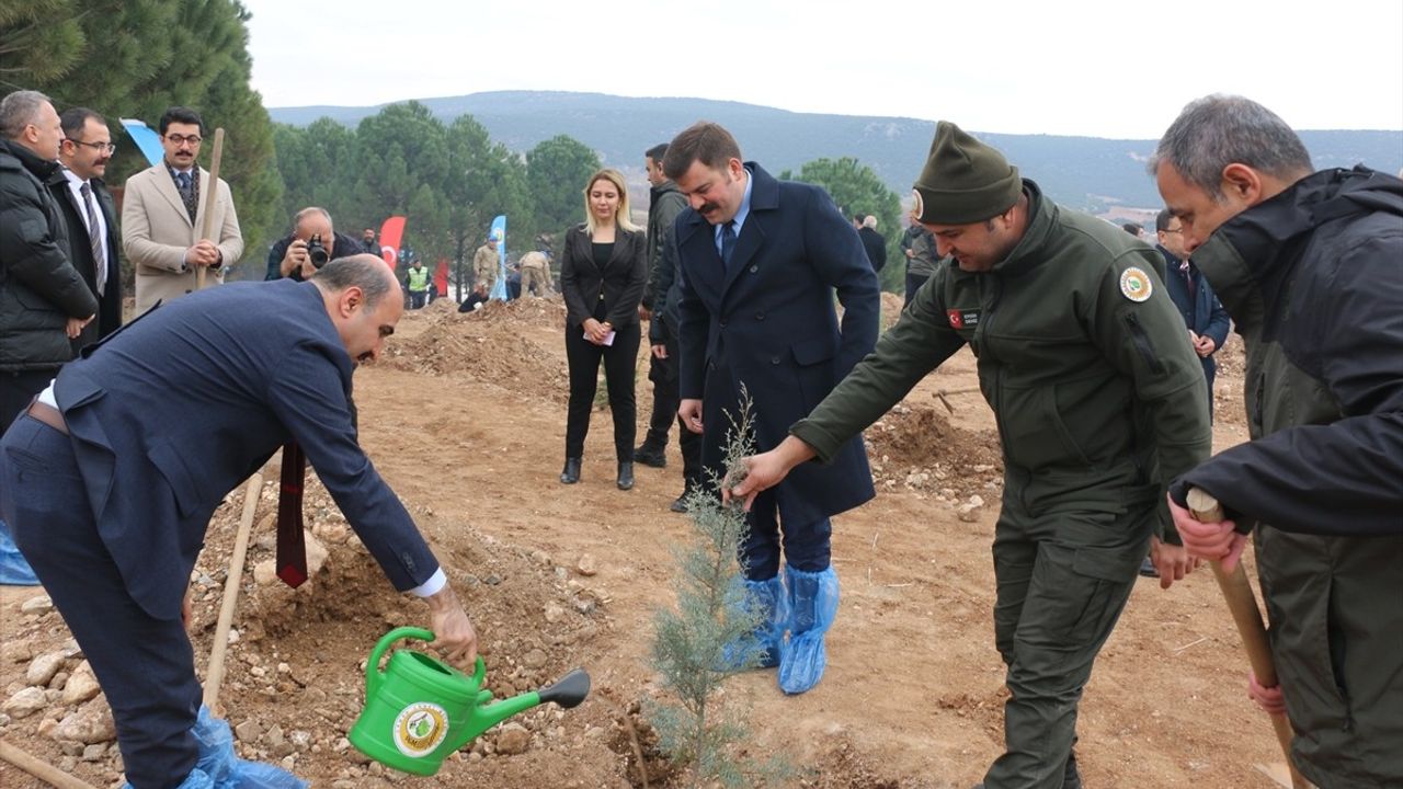 Kahramanmaraş'ta Fidanlar Toprakla Buluşturuldu