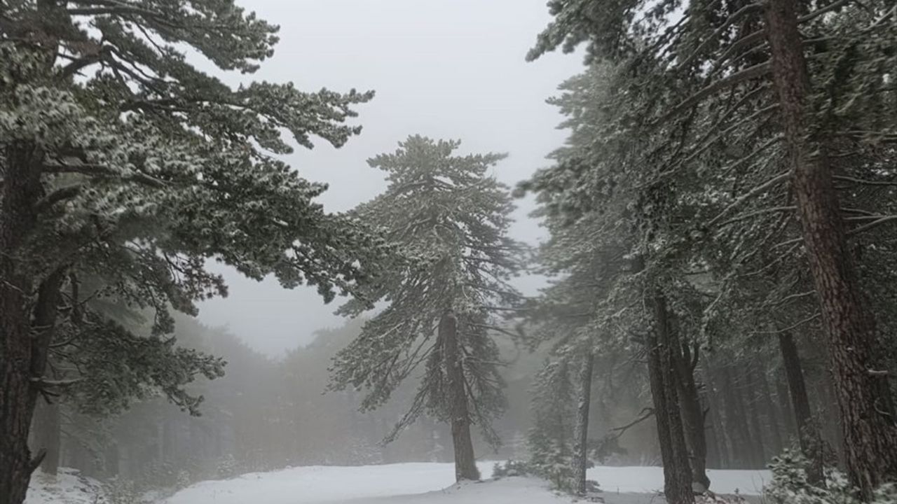 Kazdağı Milli Parkı Karla Kaplandı