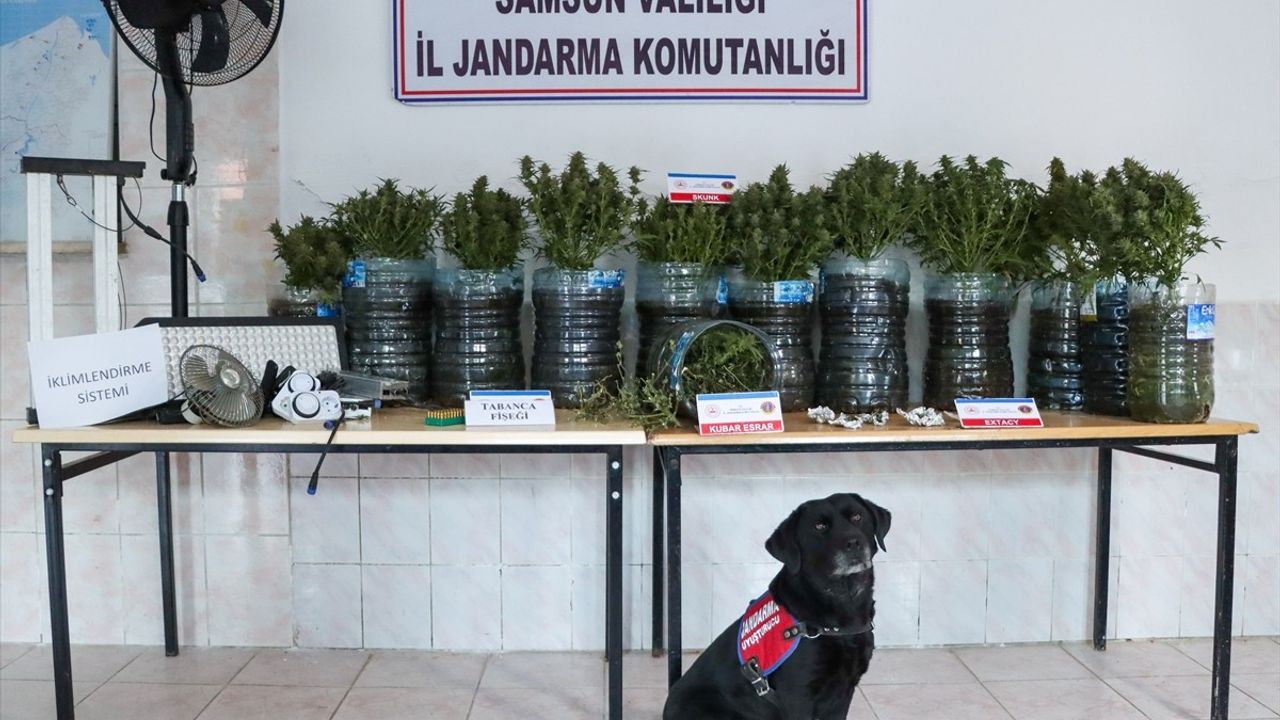 Samsun'da Uyuşturucu Üretimi: İklimlendirme Sistemiyle Yakalandı