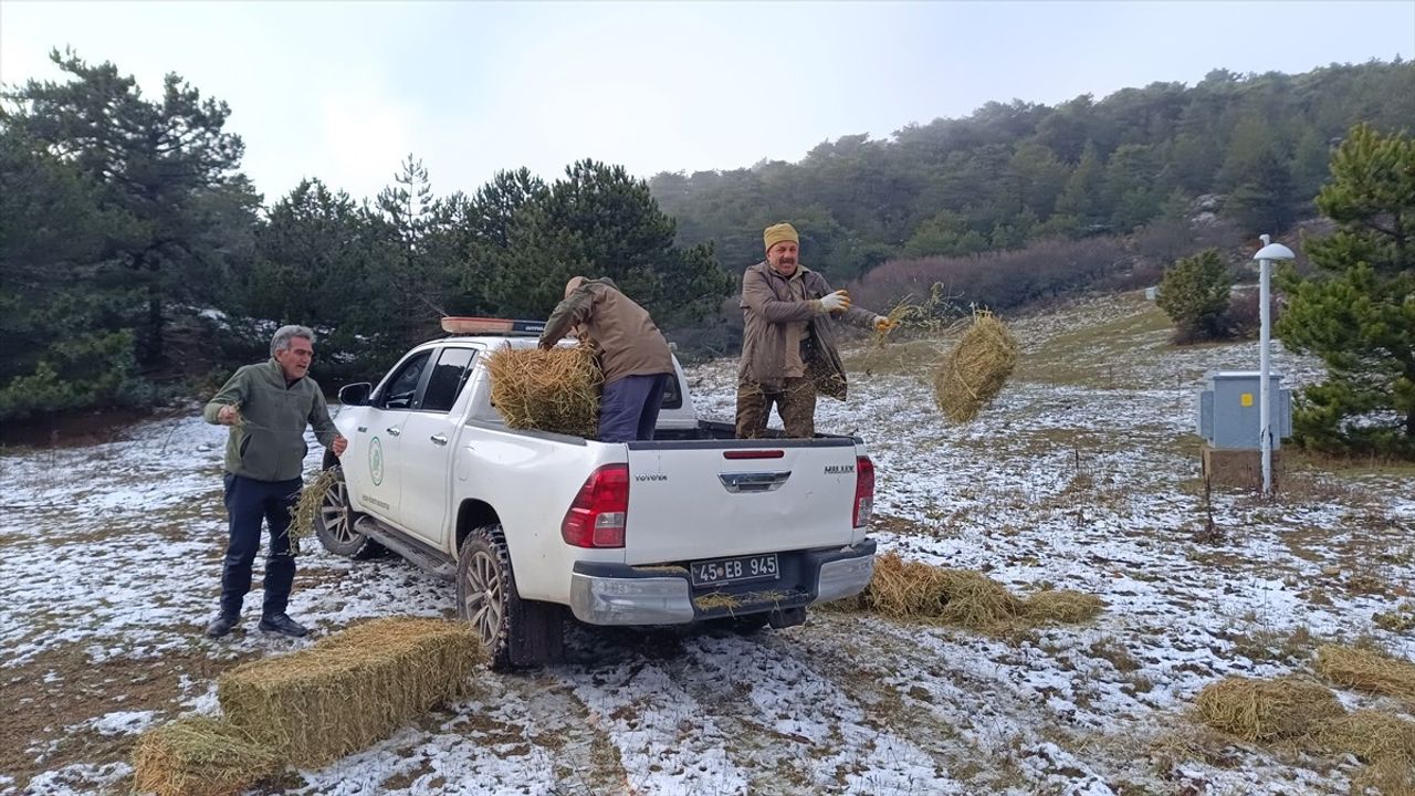 Spil Dağı'nda Yaban Hayvanlarına Destek