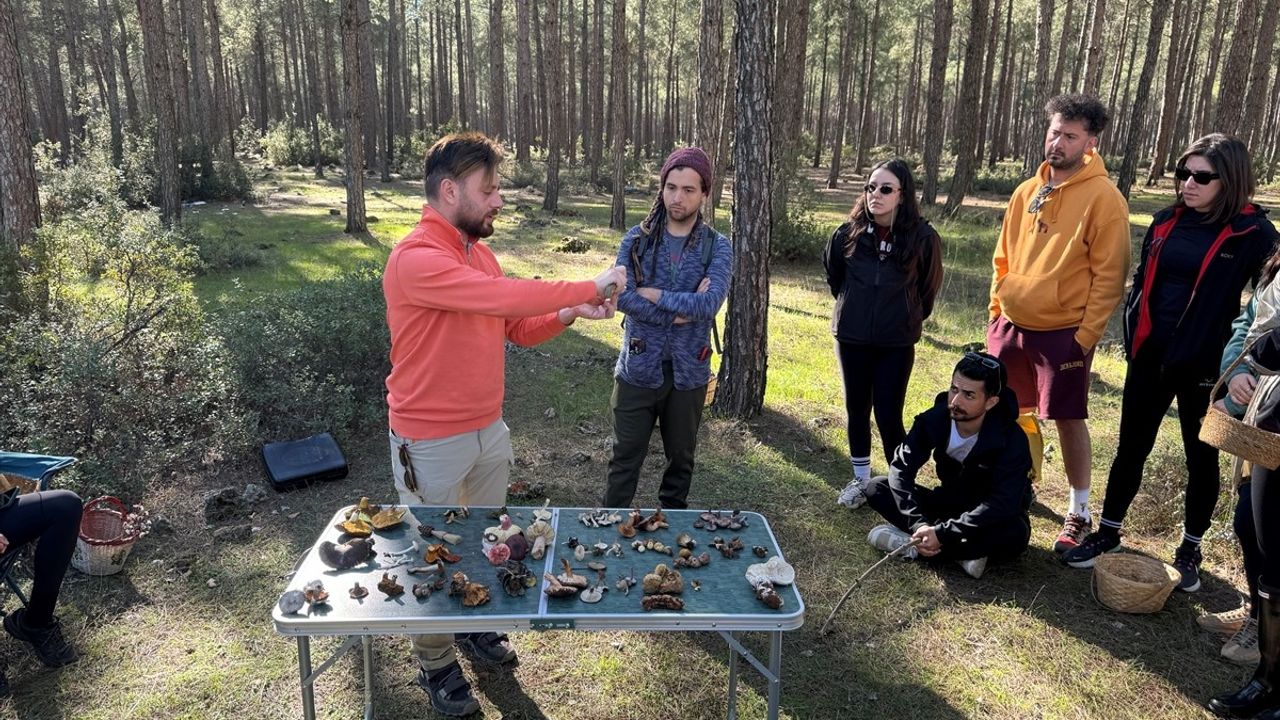 Antalya'da Mantar Tutkunları Buluştu