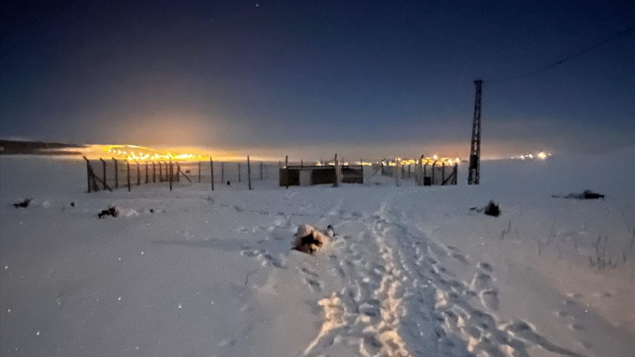 Ardahan Jandarmasından Zorlu Kış Koşullarında Operasyon