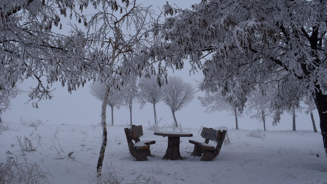 Bitlis'te Soğuk Hava ve Sis Etkisini Gösterdi