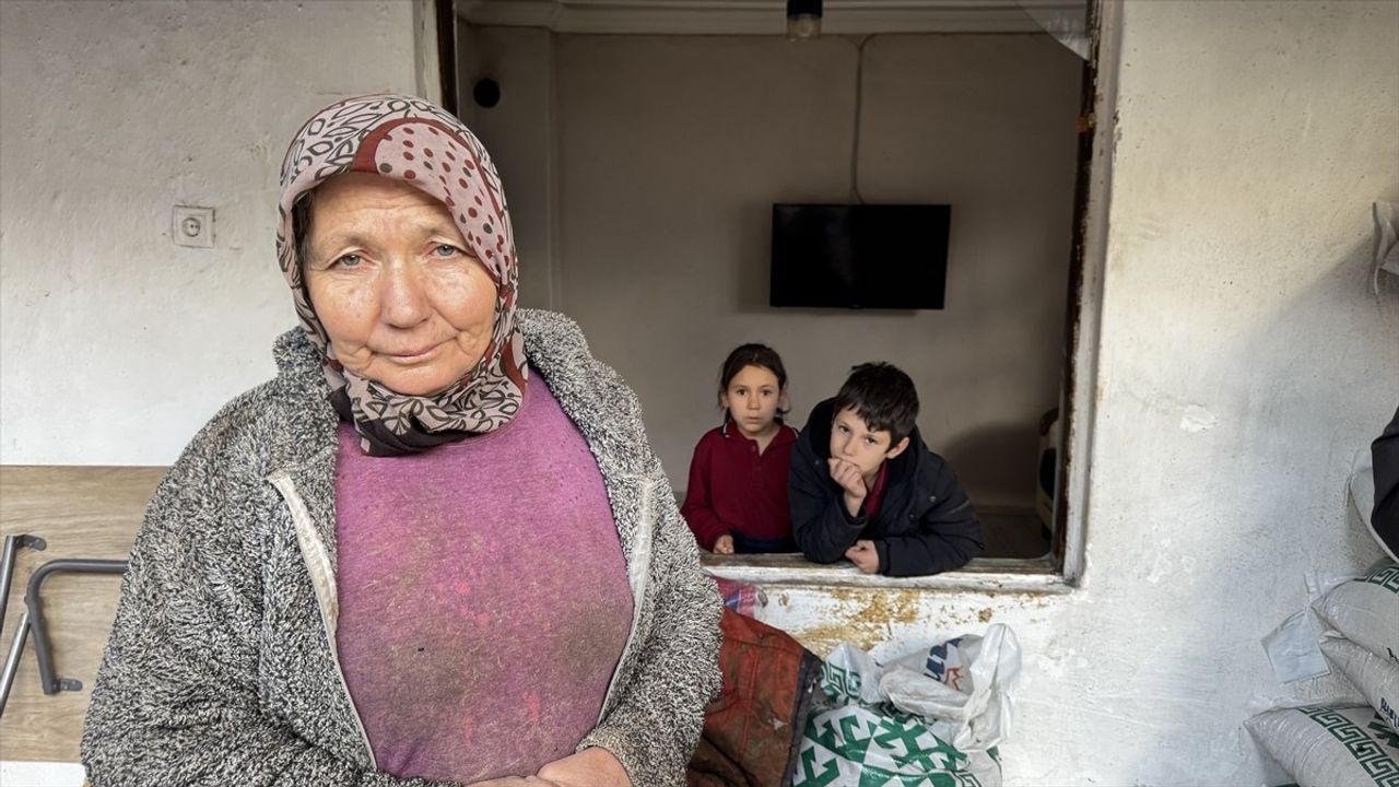 Burdur'da Kaçan Tosun Evde Hasara Sebep Oldu