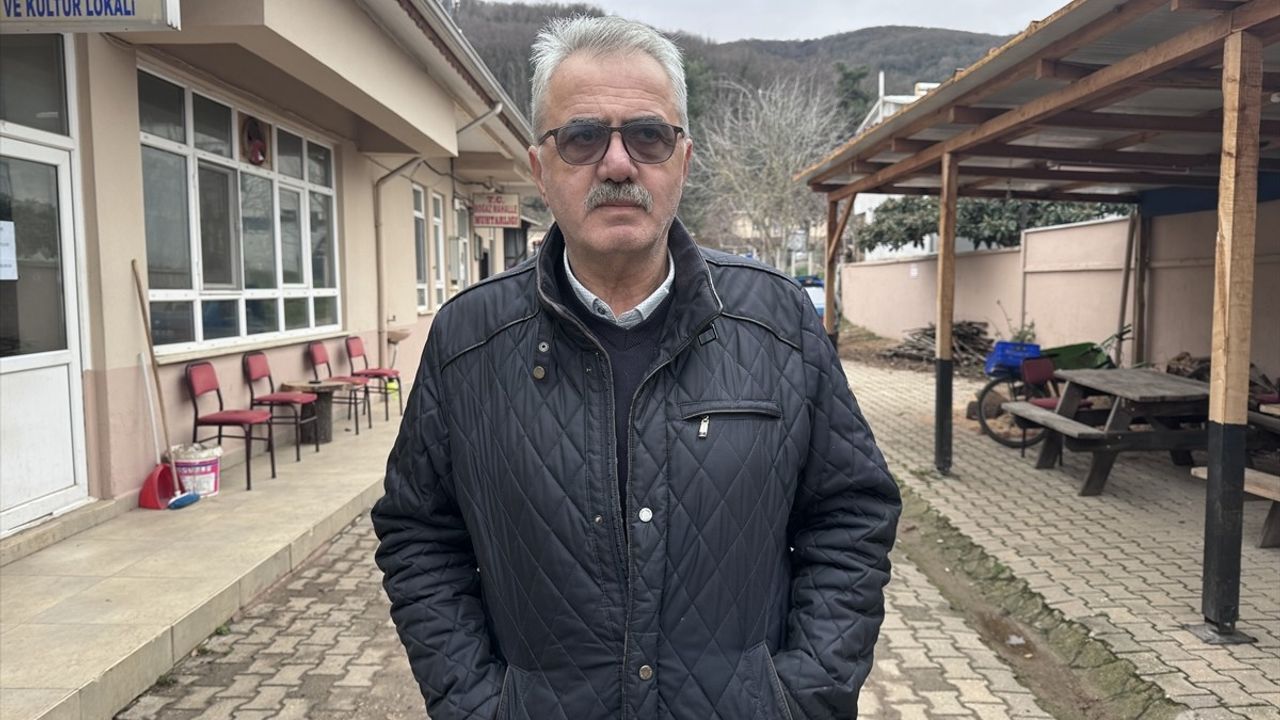 Bursa'daki Barınaktan Kaçan Ayı İçin Kurtarma Çalışmaları Başlatıldı