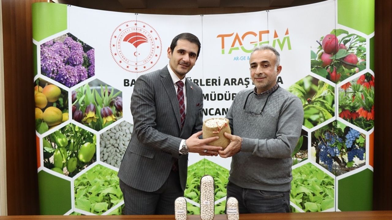 Erzincan'da Yeni Kuru Fasulye Çeşitleri Tescil İçin Başvuruldu