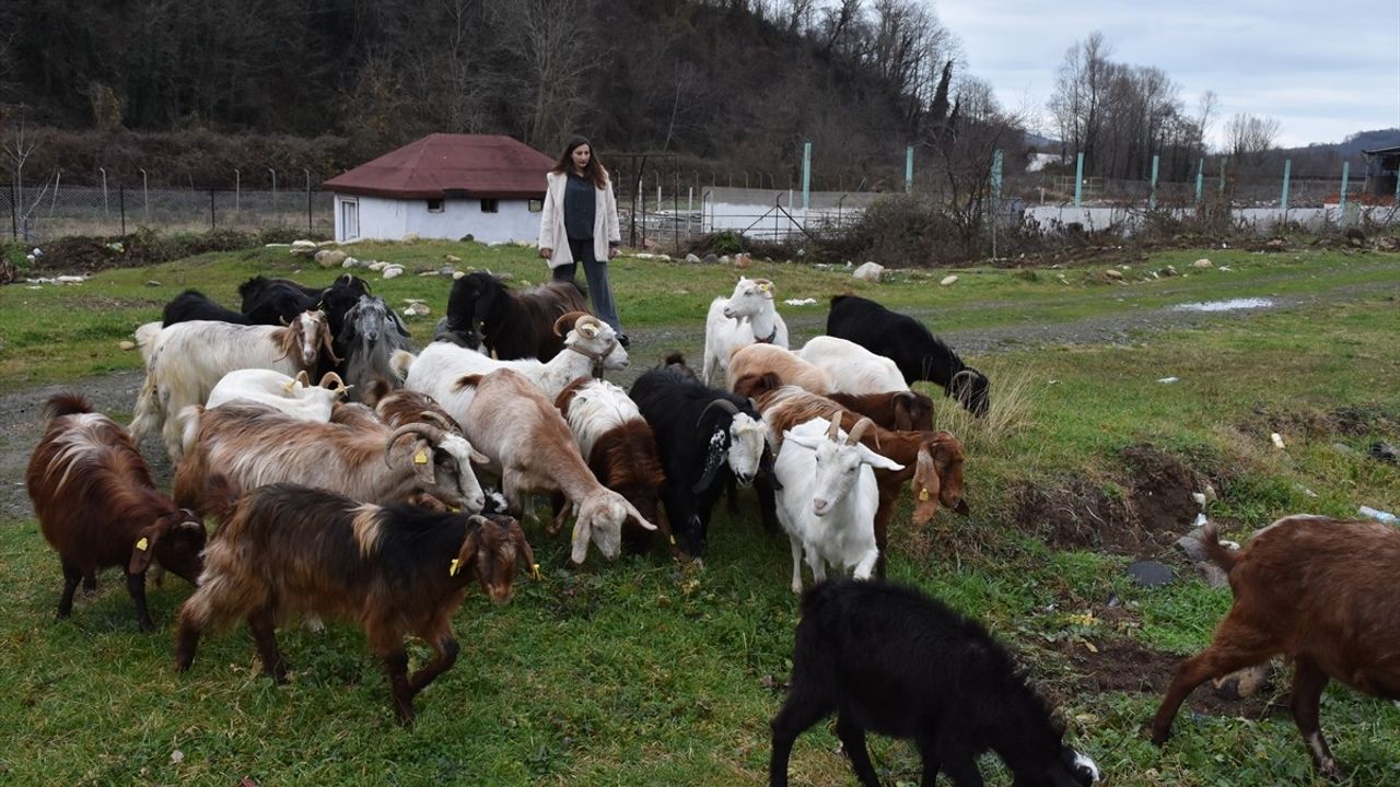 Genç Girişimci Gizem Çimen'in Çiftlik Hayali Gerçek Oldu