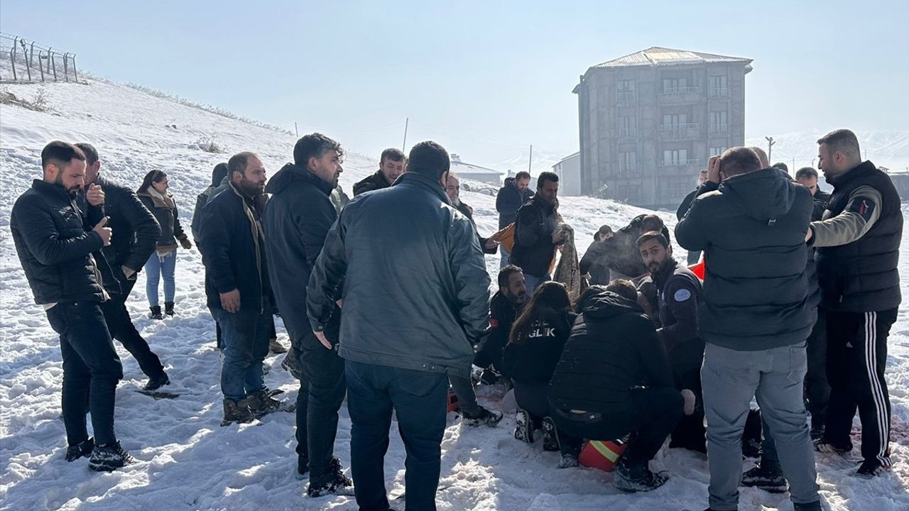 Hakkari'de Sahipsiz Köpeklerin Saldırısı: 12 Yaşındaki Kız Çocuğu Hayatını Kaybetti