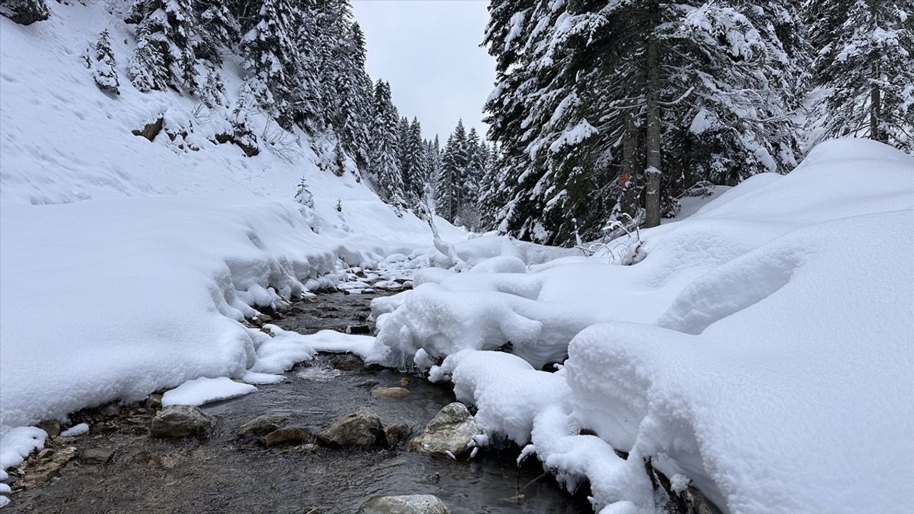 Ilgaz Dağı: Doğa Tutkunlarının Yeni Gözdesi