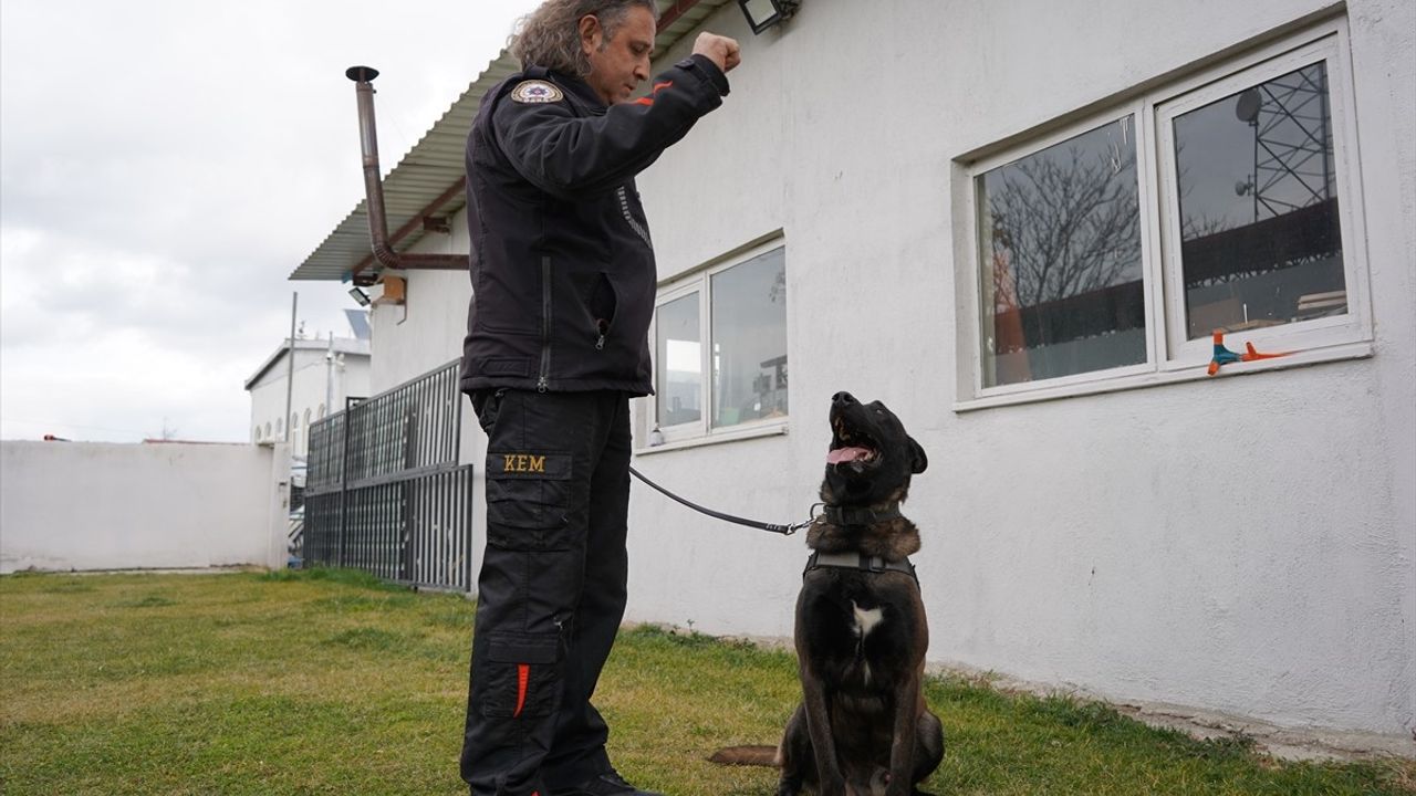 Isparta'nın Narkotik Köpeği 'Milon', Üçüncü Kez Ayın Köpeği Seçildi