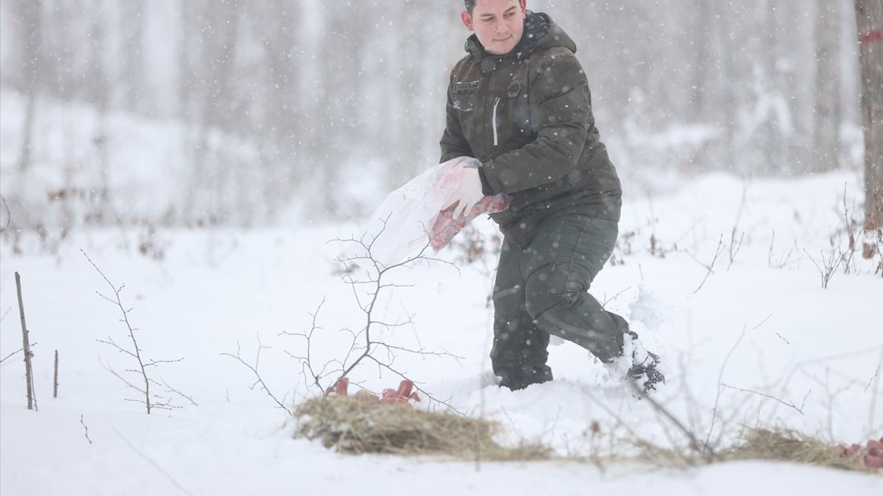 Kırklareli'nde Yaban Hayvanları İçin Doğaya Yem Bırakıldı