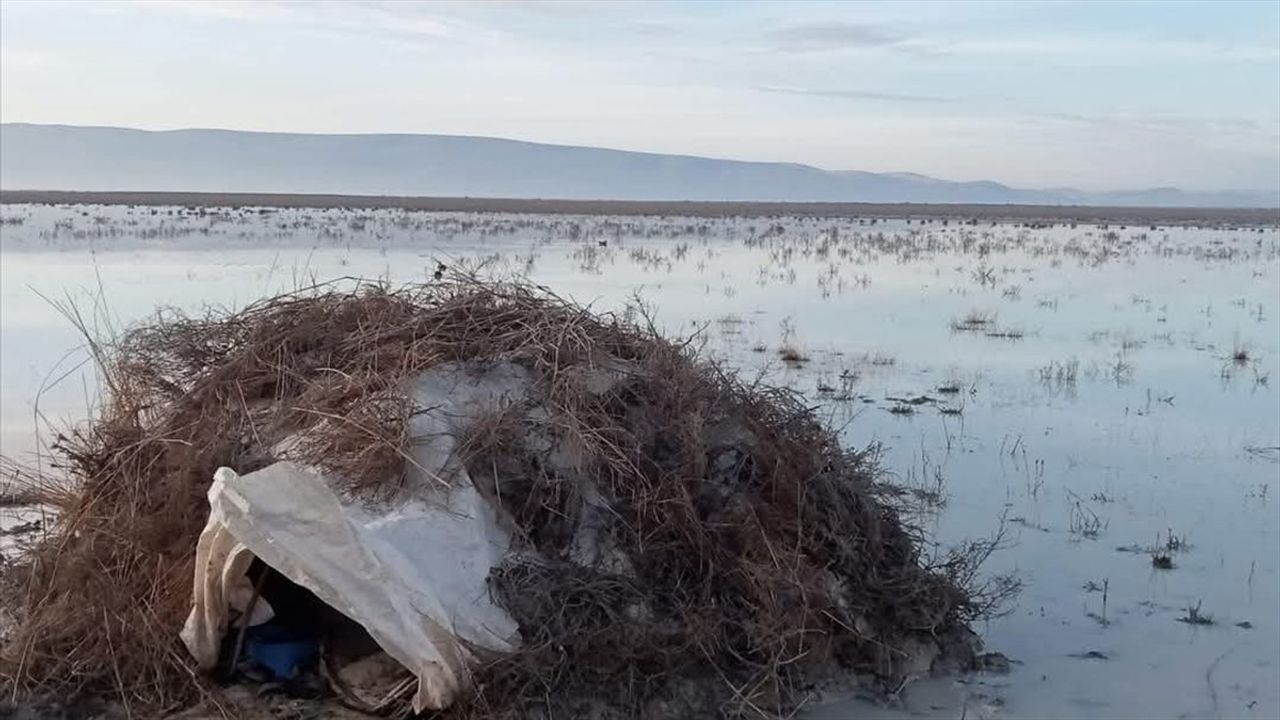 Konya'da Yasa Dışı Avcılığa Ağır Cezalar