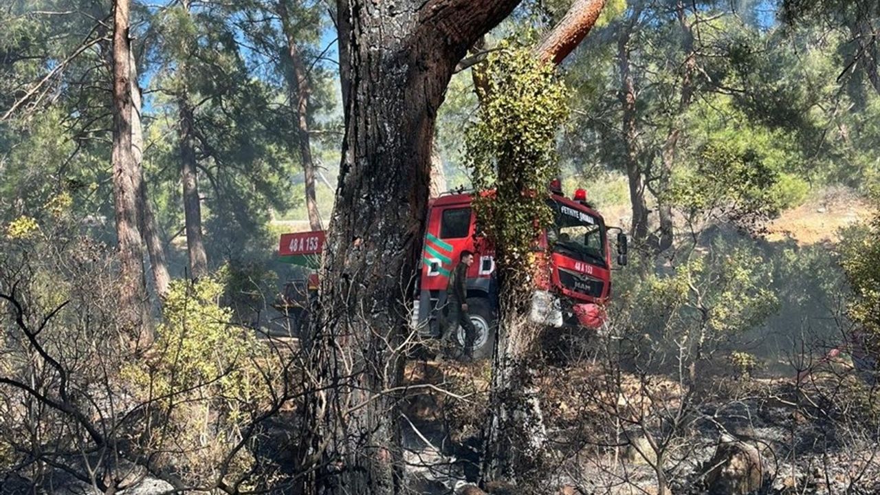 Muğla'da Orman Yangını Kontrol Altına Alındı