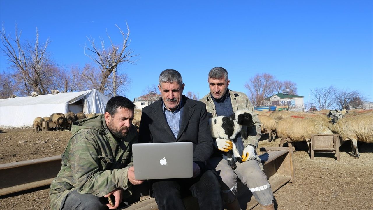 Muş'taki Besiciler AA'nın Yılın Kareleri Oylamasına Katıldı