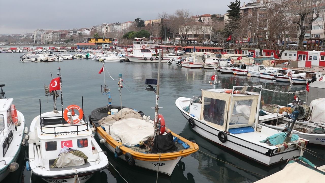 Tekirdağlı Balıkçılar Olumsuz Hava Şartlarıyla Mücadele Ediyor