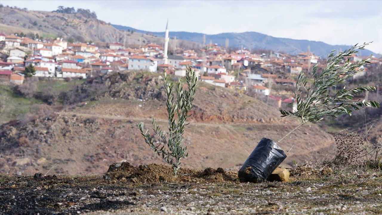 Yaylabaşı Köyü'nde Her Bebek İçin Bir Ağaç Projesi