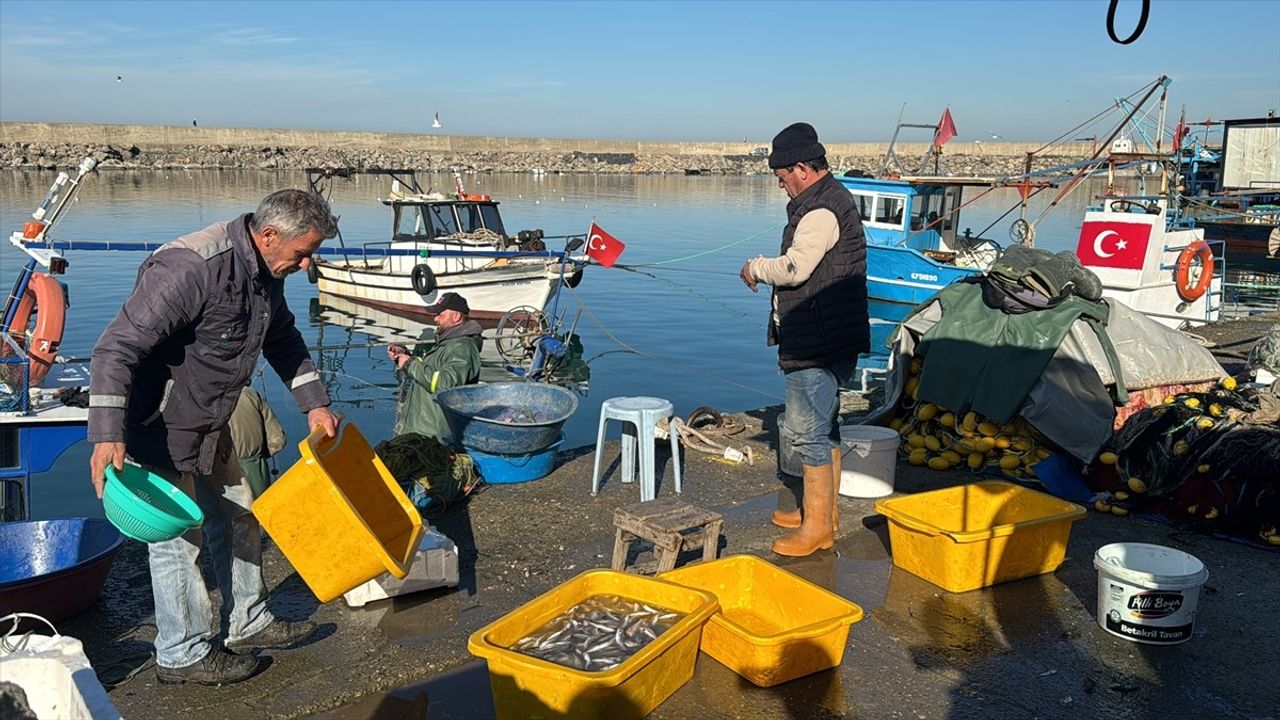 Zonguldak'ta Balık Avı Sezonu Bereketli Geçiyor