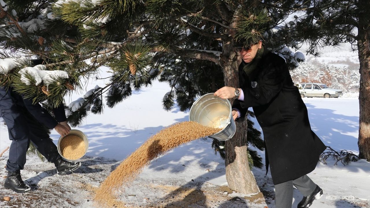 Amasya'da Yaban Hayvanları İçin Gıda Yardımı