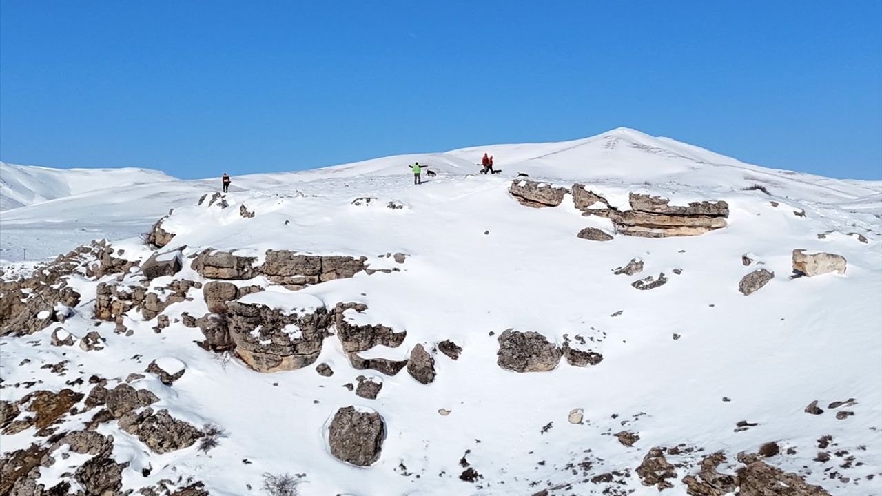 Darende'de Yaban Domuzu Sürek Avı Gerçekleştirildi