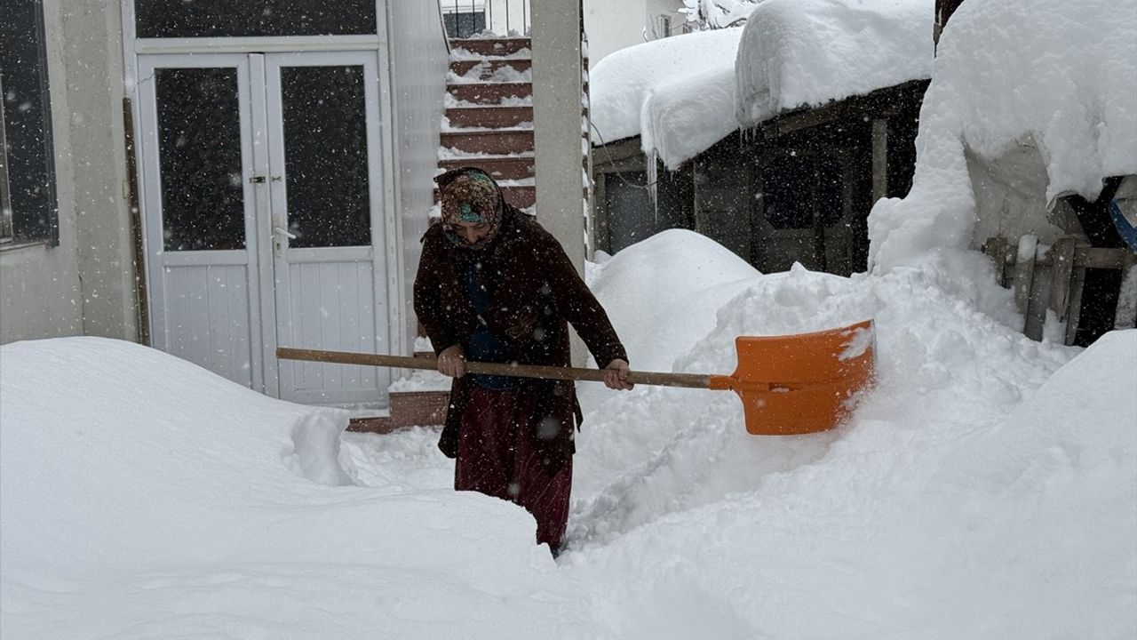 Doğu Anadolu'da Kar Nedeniyle 810 Yerleşim Yeri Ulaşıma Kapandı