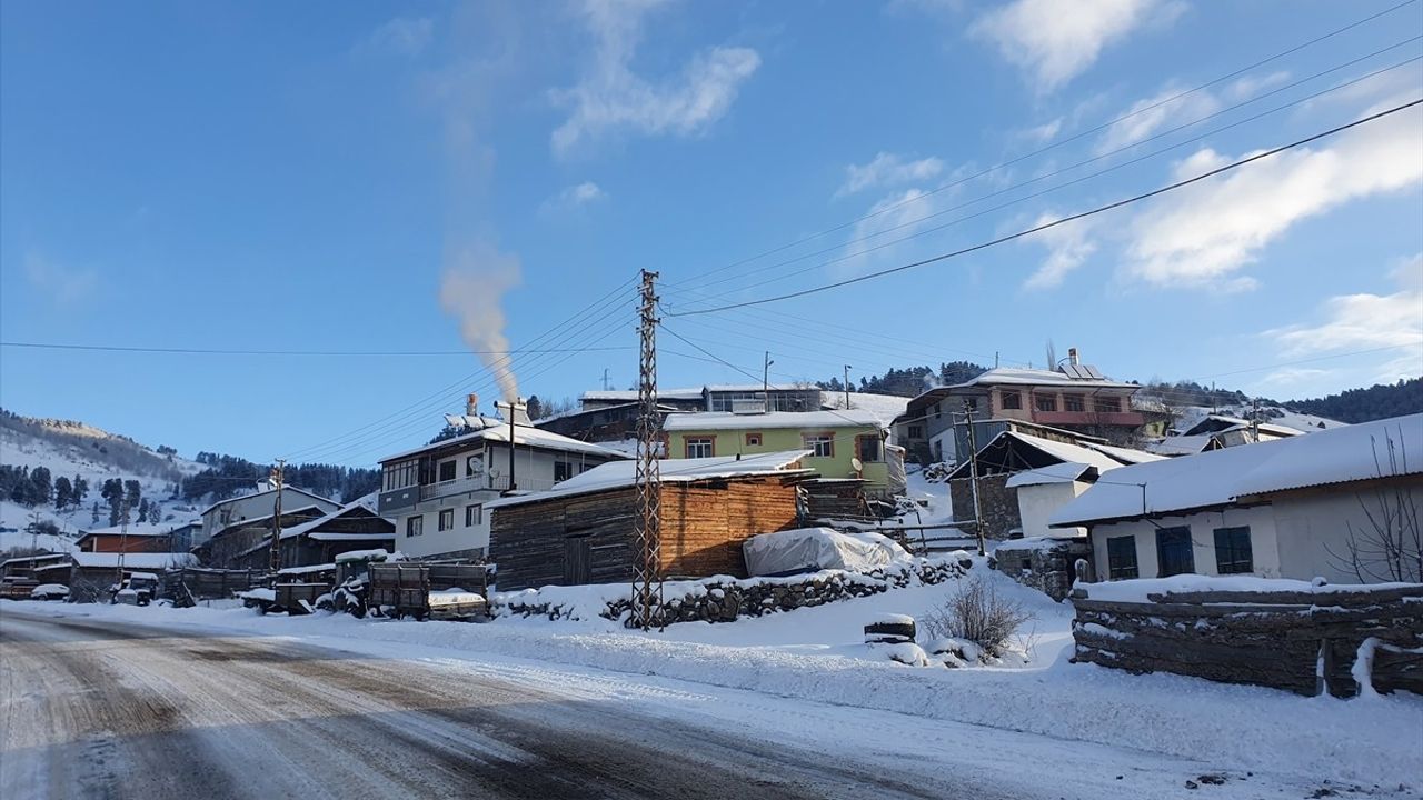 Doğu Anadolu'da Kar ve Soğuk Hava Etkisini Sürdürüyor