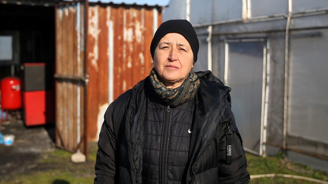 Edirne'de Üreticiler Kaloriferle Fidelerini Koruyor
