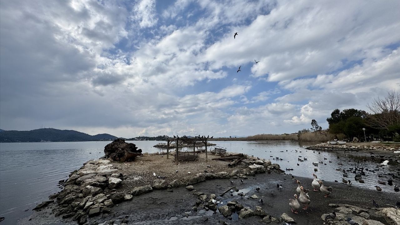 Ege Kıyılarında Deniz Suyu Çekilmesi