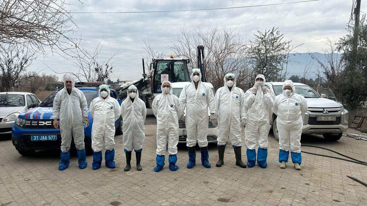 Hatay'da Kuş Gribi Alarmı: Paşaköy Mahallesi Karantinaya Alındı