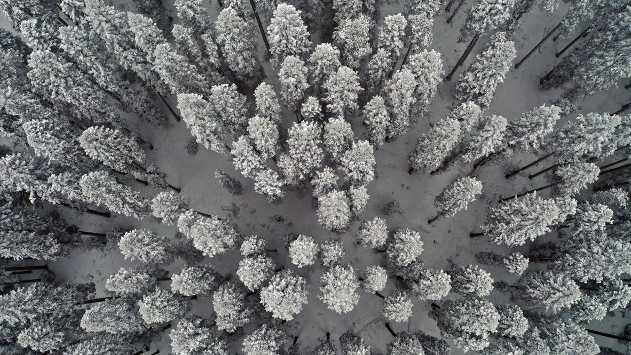 Ilgaz Dağı'nda Kar Manzarası Dronla Görüntülendi