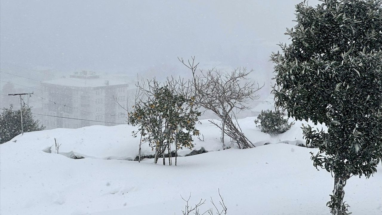 Karadeniz Bölgesi Kar Yağışı ve Soğuk Hava Etkisi Altında