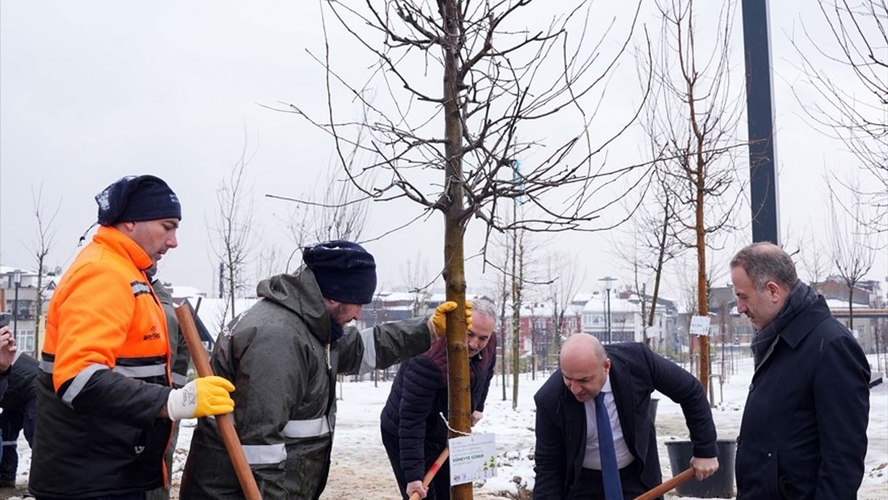 Kartalkaya Yangınında Hayatını Kaybedenler İçin Fidan Dikimi