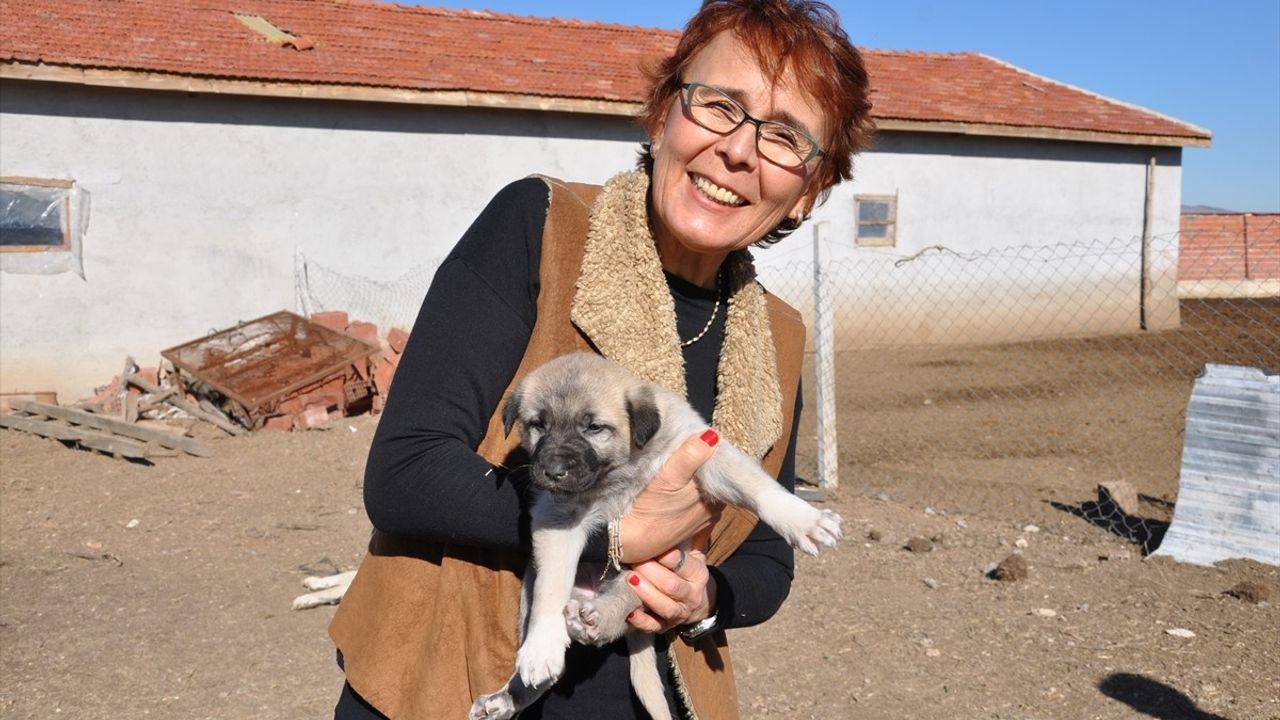 Mahmudiye’deki İlk Kadın Muhtar: Dr. Resmiye Töre Beşikçi