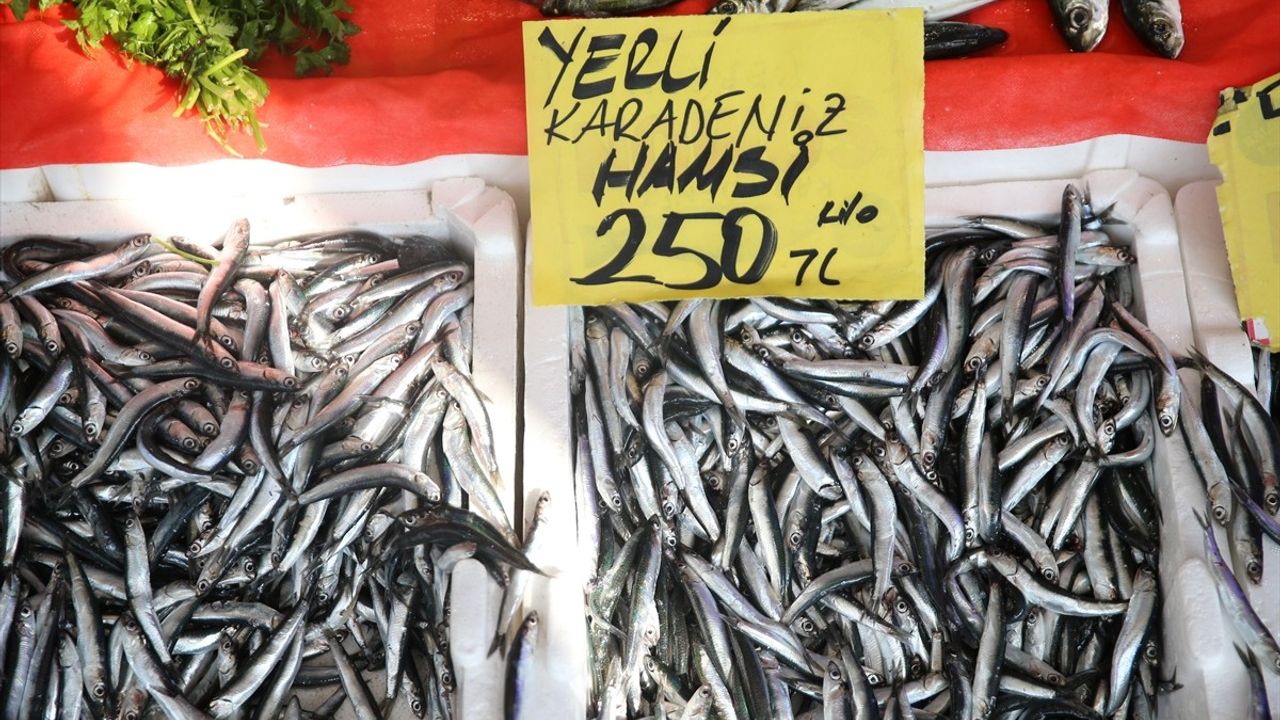 Ordu'da Hamsi Fiyatlarında Artış