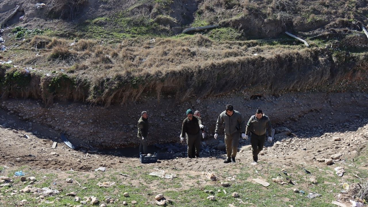 Şanlıurfa'da Mahsur Kalan 316 Kaplumbağa Doğaya Yeniden Kavuştu