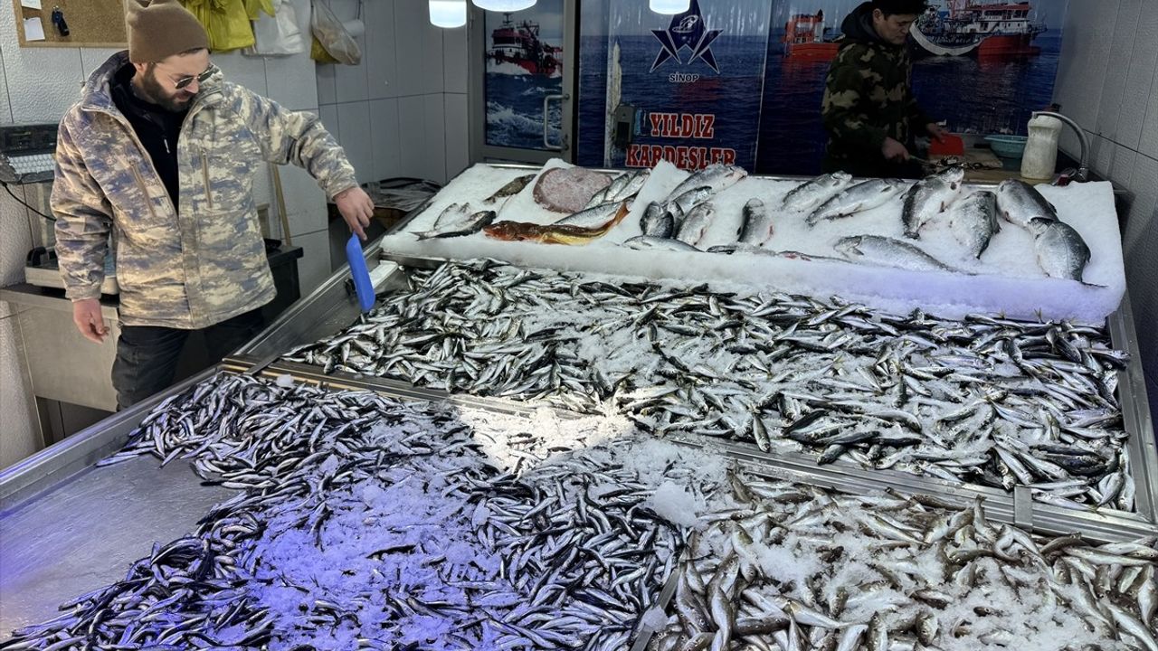 Sinop'ta Kötü Hava Koşulları Balık Avcılığını Zorluyor