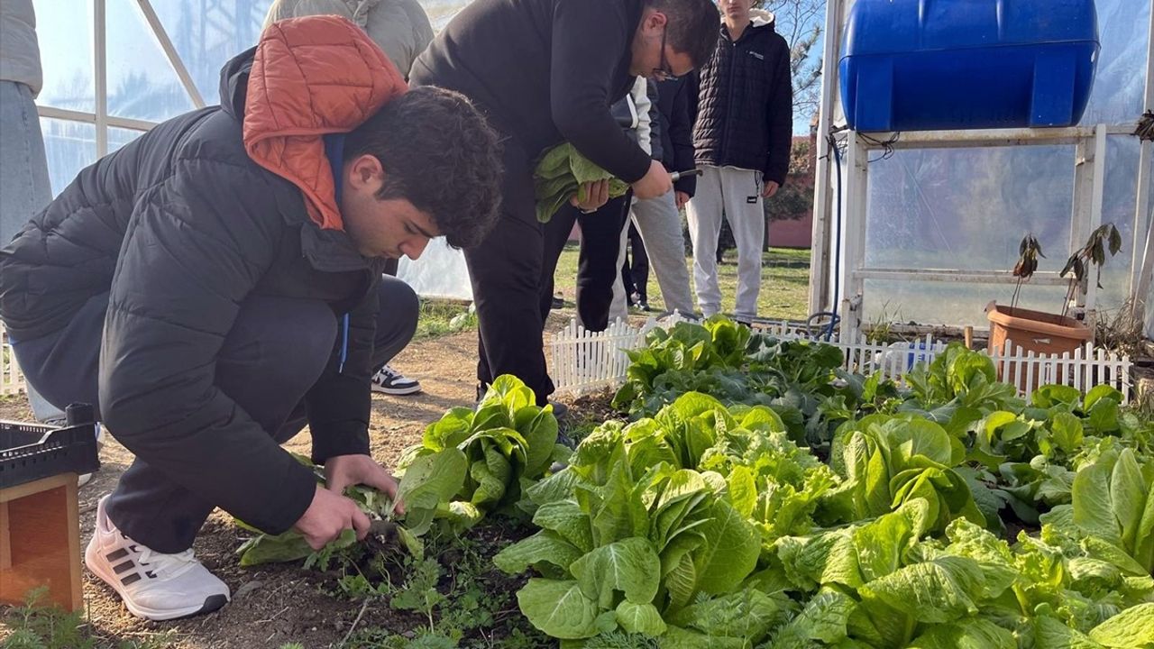 Tekirdağ'da Lise Öğrencileri Tarım Eğitimi ile Üretime Katılıyor