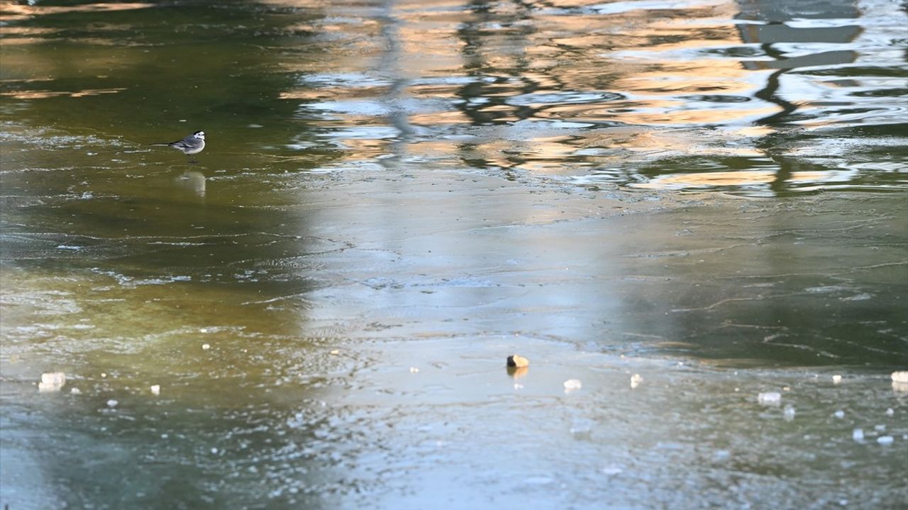 Trakya'da Soğuk Hava Etkisini Gösteriyor