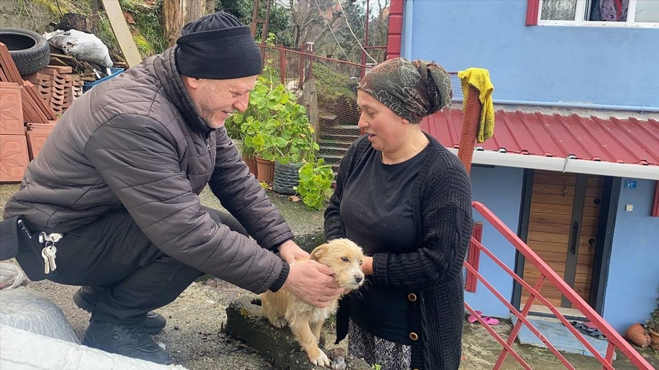 Zonguldak'ta Terk Edilen Köpek Yavrusu Yeni Bir Yuva Buldu