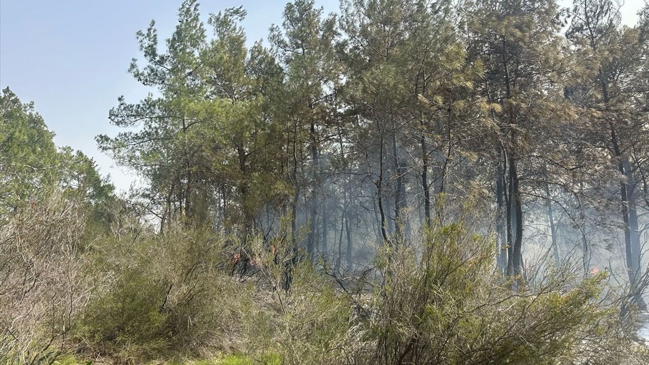 Antalya'da Orman Yangınına Hızla Müdahale